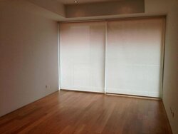 Scotts Highpark (D9), Condominium #457037611